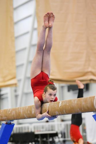 38659673420 7fc69003e7 z