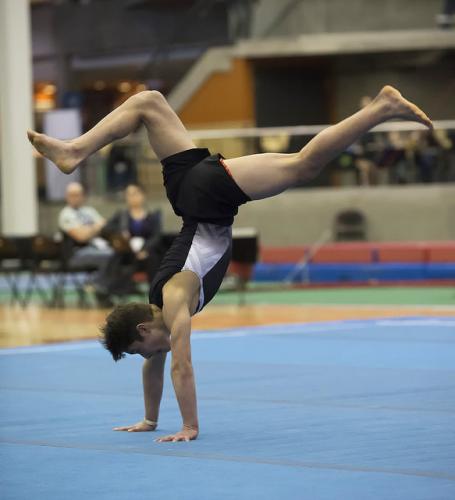 39585031765 8c45645437 z