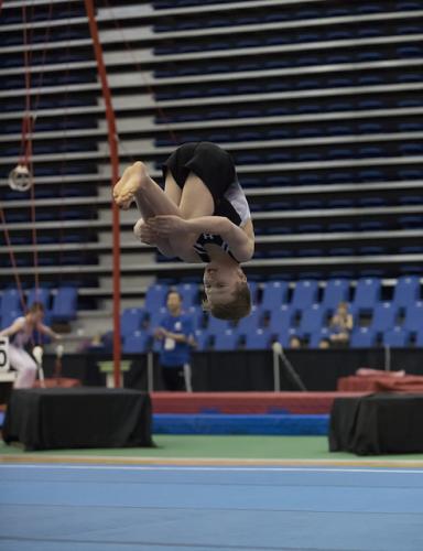 39585032765 d5dfe216d1 z