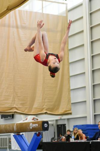 39759767304 8ef82310b4 z