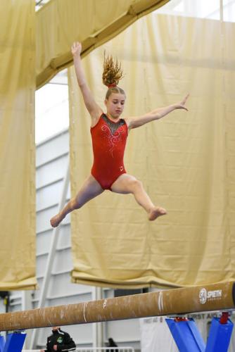 40470185111 dd0ab1de09 z