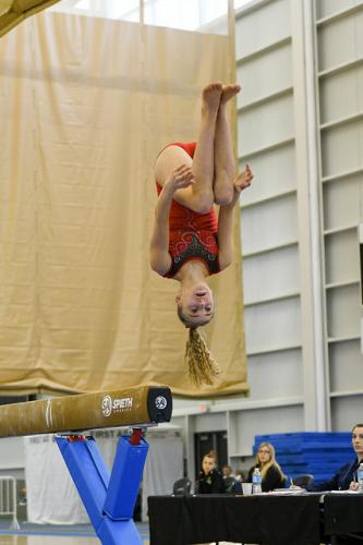 40470220161 741d804285 z